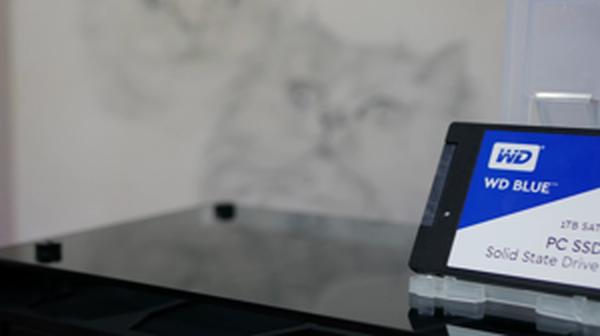 WD Blue 3D NAND SSD Interno M.2 SATA Da 1 TB – Alta Affidabilità E Prestazioni Per PC E Laptop